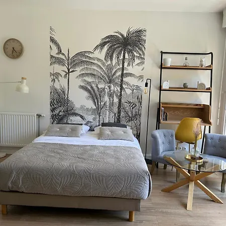 La Pleiade Doree - Extra Centre - Wifi Hd - Terrasse & Jardin Apartment